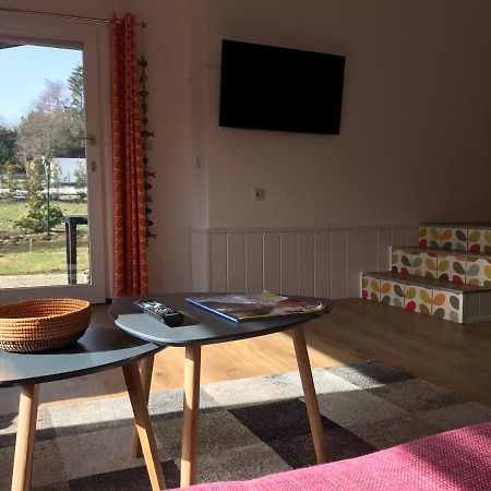 Modernes Ferienhaus Willingen Виллинген Экстерьер фото